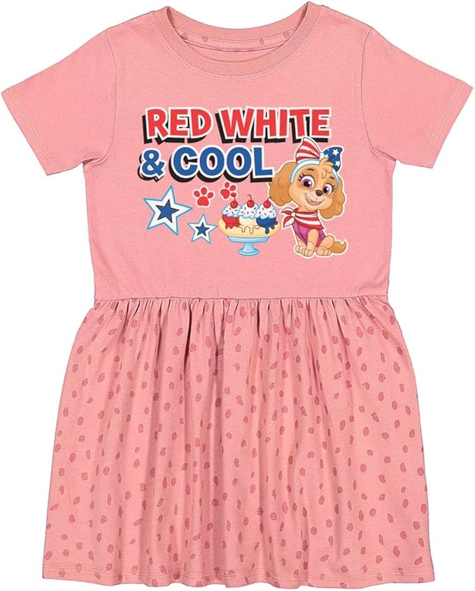 Tstars Paw Patrol Skye Girl Dress - Toddler Spring Summer Outfit - 1st 2nd 3rd 4th Birthday Dresses for Girls