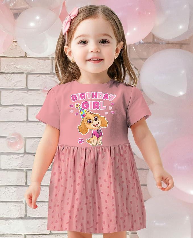 Tstars Paw Patrol Skye Girl Dress - Toddler Spring Summer Outfit - 1st 2nd 3rd 4th Birthday Dresses for Girls