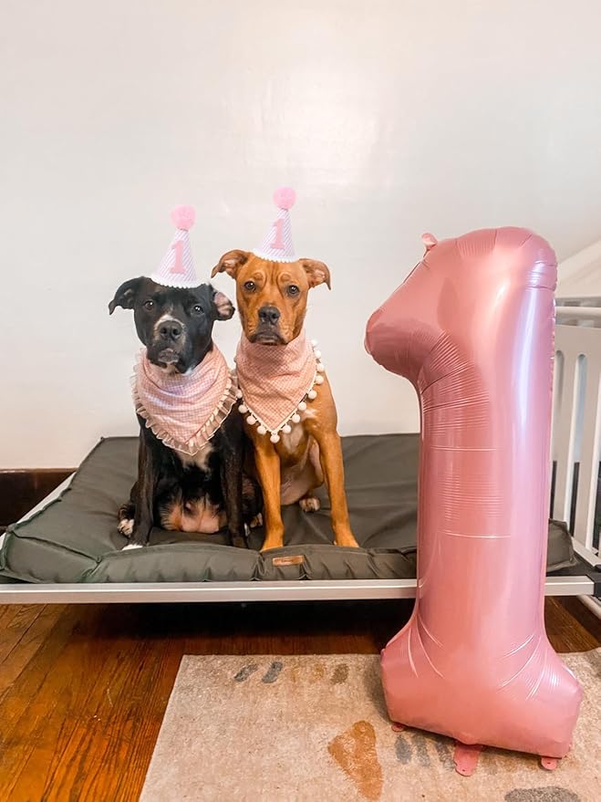 Number Balloons 1, 40 Inch Ballons for Girl Boy 1st 1 11 21 Birthday Decorations Baby Shower Photo Shoot, Pink One Balloons