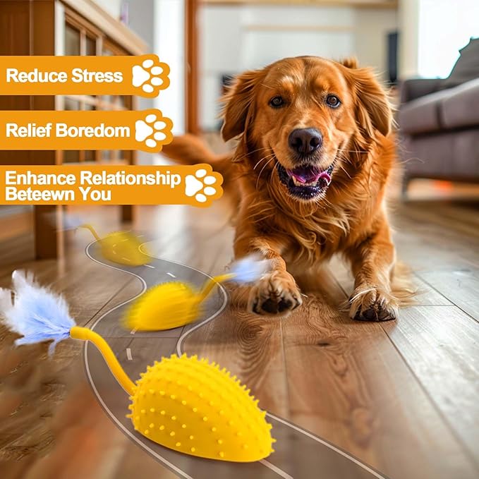 Mity rain Interactive Dog Toys, Remote Control Dog Toy with Feather Tail and Charger, Funny Dog Toys for Small Medium Dogs Outdoor and Indoor, Dog Toys to Keep Them Busy