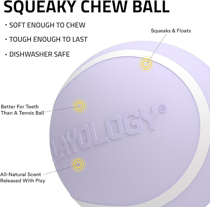 Playology Dog Toys | Squeaky Chew Ball - Bouncy Durable Floating Fetch Ball for Dogs | Jumbo Lamb Scented Toy - Easy to Clean and Made from Non Toxic Materials