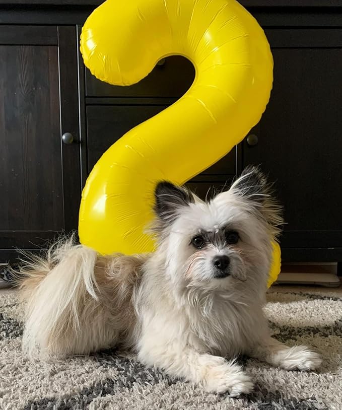 2 Numbers Balloon 40 Inch Yellow Two Balloon Number Birthday Decor, 2nd 12 21st Party Celebration Decorations Graduations Wedding Baby Shower