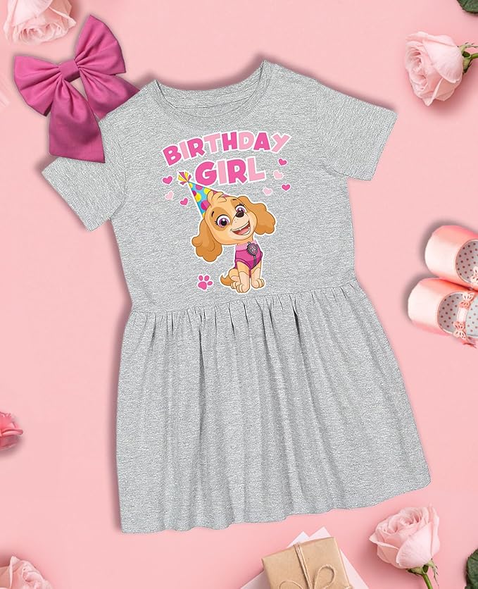 Tstars Paw Patrol Skye Girl Dress - Toddler Spring Summer Outfit - 1st 2nd 3rd 4th Birthday Dresses for Girls