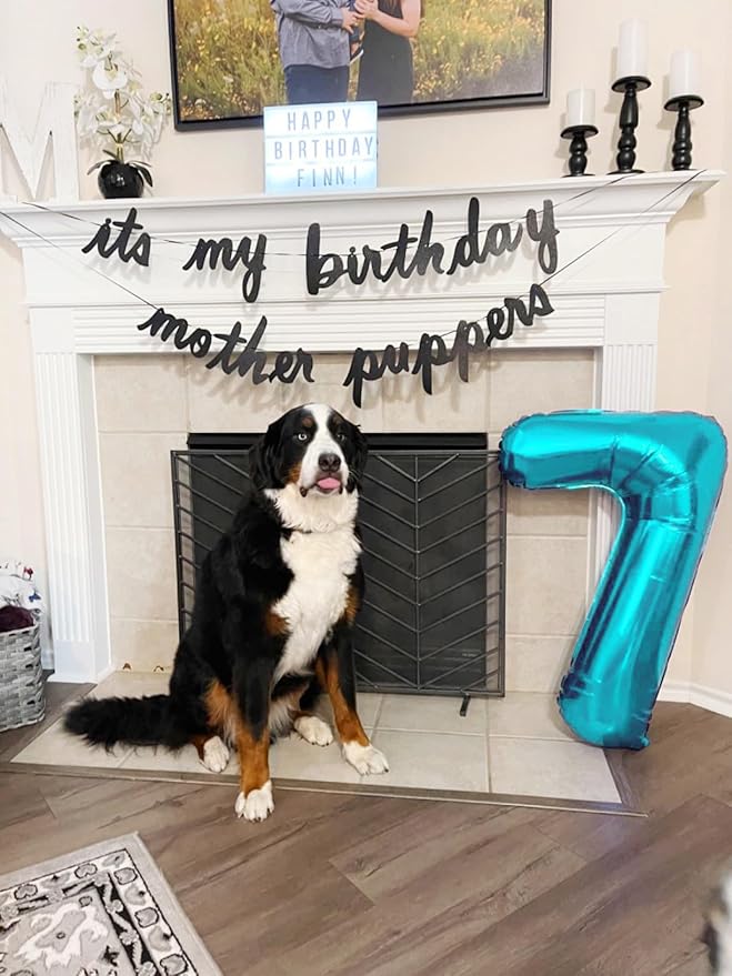 40 Inch Number 7 Balloon, 6 7 Birthday Decorations, Light Blue Seven Birthday Decor, 7 17 27 70 Year Old Balloon Number for Engagement, Wedding, Graduations