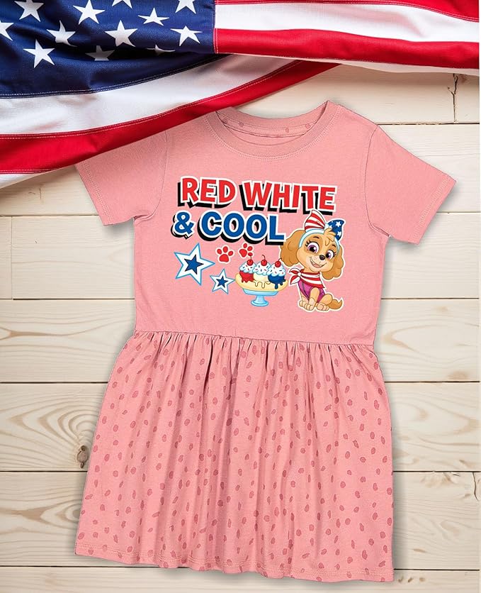 Tstars Paw Patrol Skye Girl Dress - Toddler Spring Summer Outfit - 1st 2nd 3rd 4th Birthday Dresses for Girls