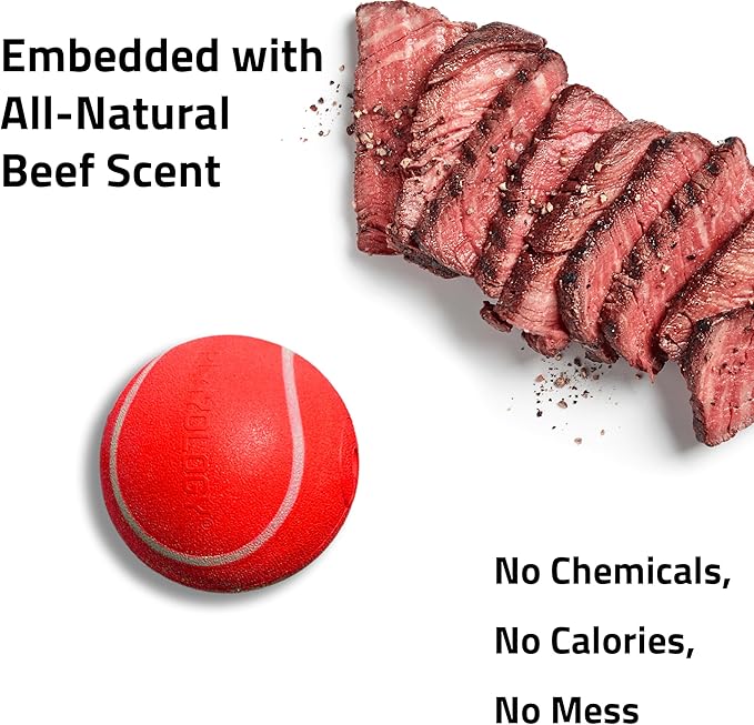 Playology Dog Toys | Squeaky Chew Ball - Bouncy Durable Floating Fetch Ball for Dogs, Value 3-Pack | Small Beef Scented Toy - Easy to Clean and Made from Non Toxic Materials